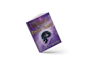 The Nunology Of The Pineal Gland
