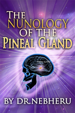 Load image into Gallery viewer, The Nunology Of The Pineal Gland

